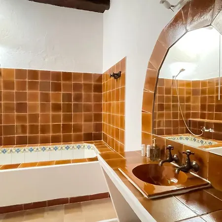Toni Den Real San José